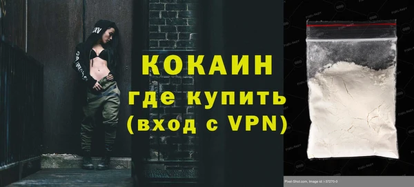 круглые Гусев