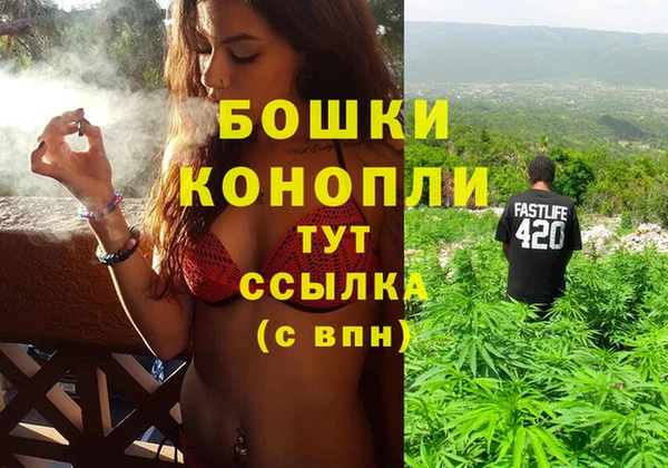 круглые Гусев