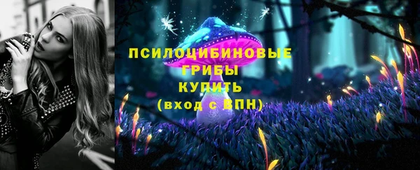 мет Гусь-Хрустальный